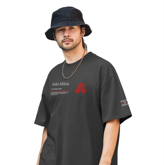 Aeolus Athletic Meaning - Oversized faded t-shirt - A.P : Embroidery