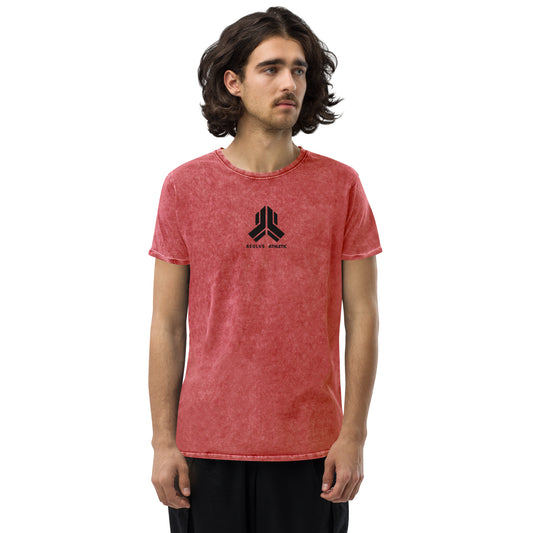 A.P - Denim T-Shirt : Embroidery